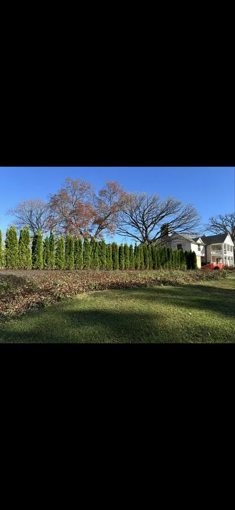 Custom lawn mowing service in Lindenhurst, IL - Lakefront Group