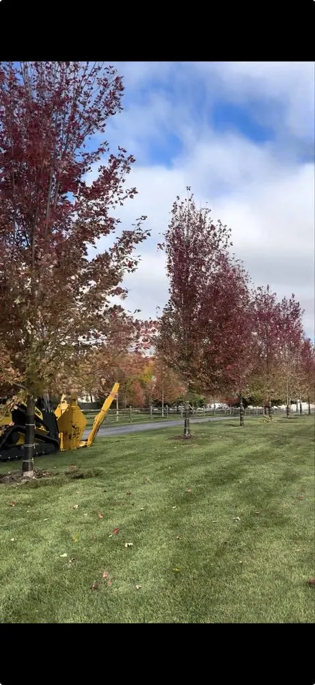 Reliable landscape installation in Lindenhurst, IL by Lakefront Group