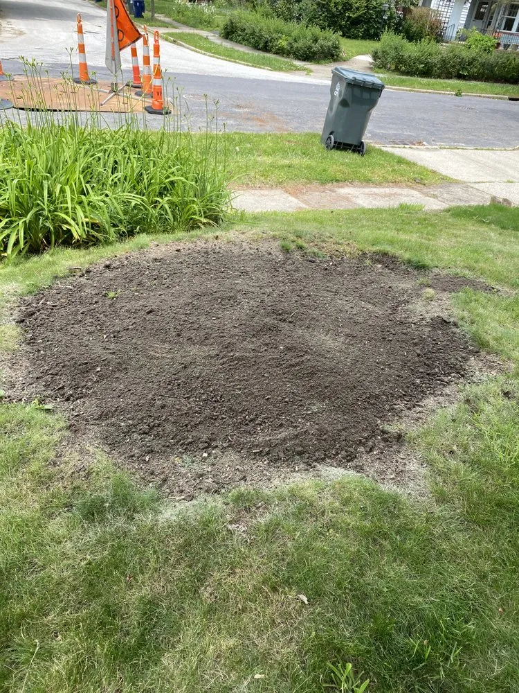 Trusted lawn care service in Cleveland, OH - Lakefront Property Solutions