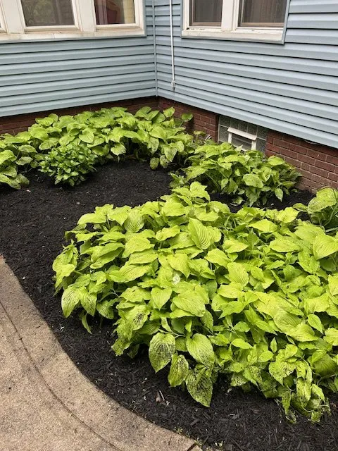 Expert landscape design near you across Cleveland, OH - Lakefront Property Solutions