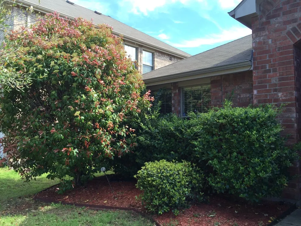 Custom outdoor landscaping for homes in Frisco, TX by Lakehill Lawn