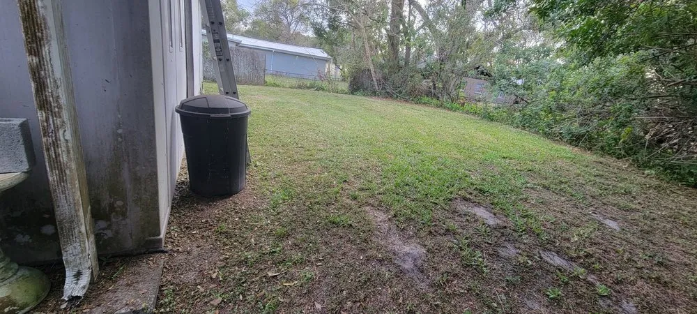 Professional landscaping services for year-round maintenance in Lakeland, FL by Lakeland Landscaping