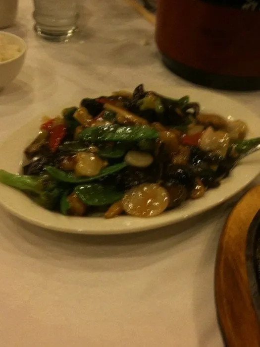 Expert residential landscaping for beautiful yards in Lakeland, FL by Lakeland Landscaping