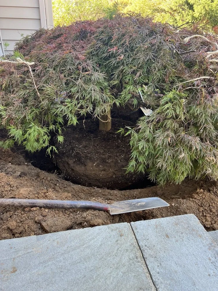 Reliable landscape design in Wharton, NJ by Lakeland Landscaping