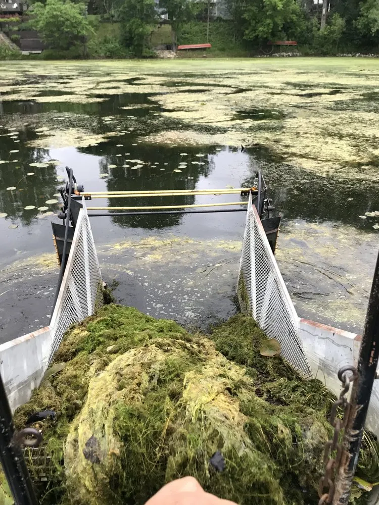 Local lawn mowing service in Orr, MN - Lakes Aquatic Weed Removal