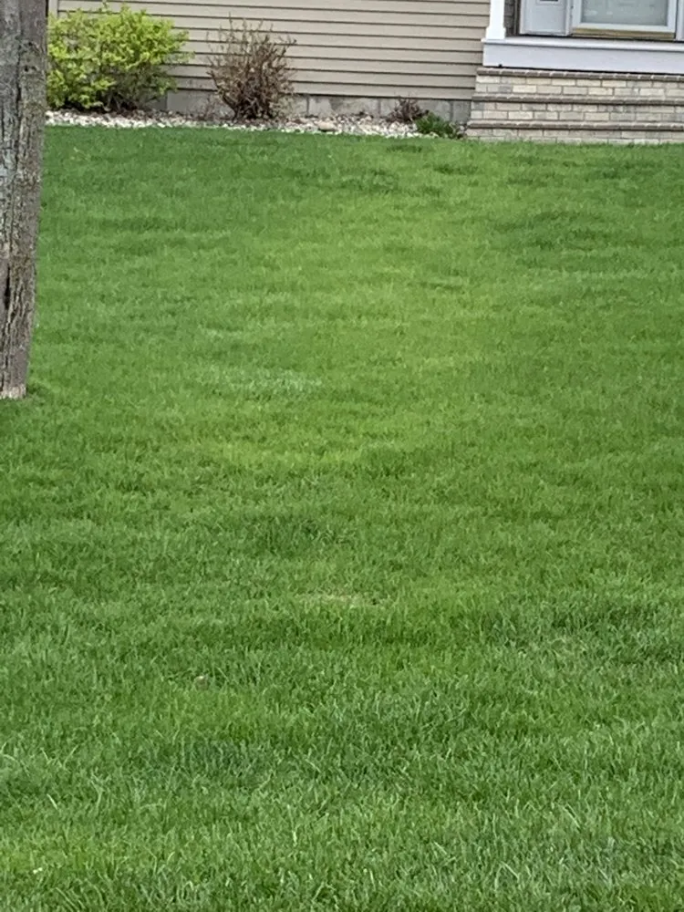 Reliable yard cleanup service with custom design across Pelican Rapids, MN - Lakes Area Landscape