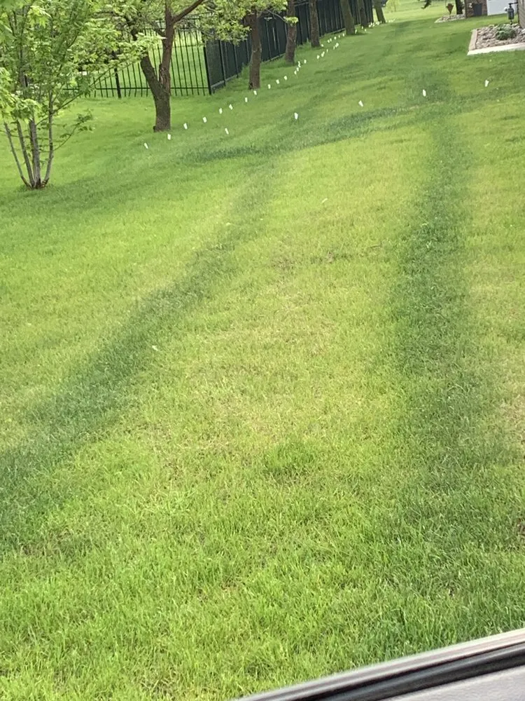 Affordable garden landscaping for year-round maintenance in Pelican Rapids, MN by Lakes Area Landscape