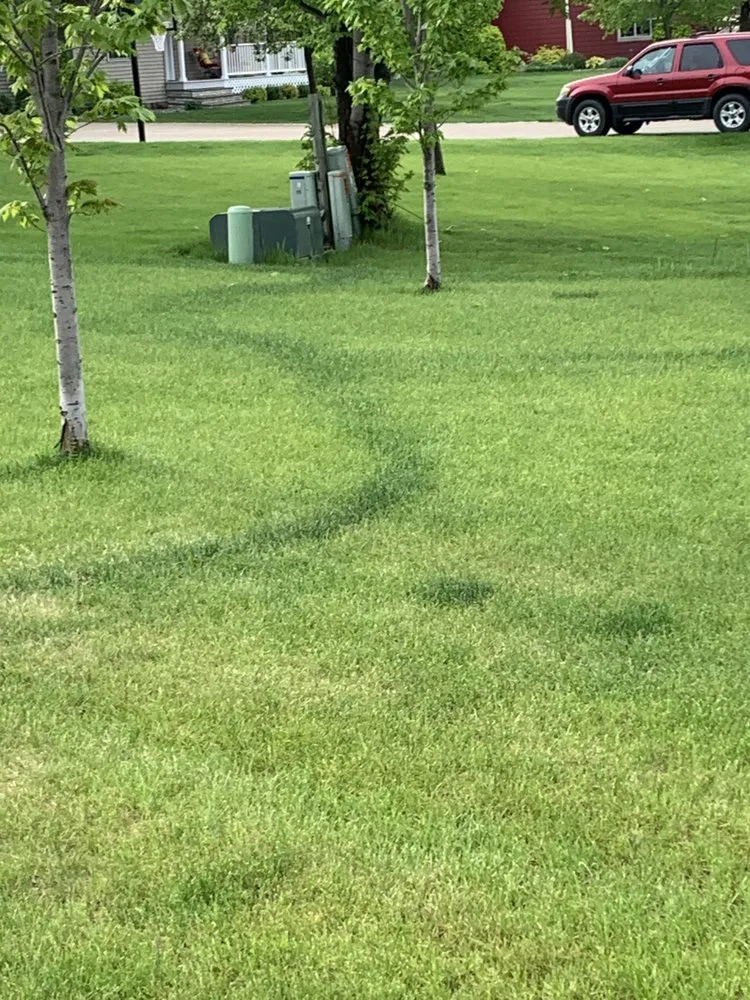 Affordable lawn care service in Pelican Rapids, MN - Lakes Area Landscape