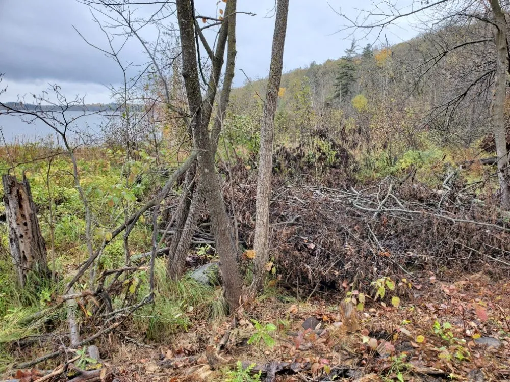 Custom yard maintenance for residential properties in Park Rapids, MN by Lakes Country Environmental Services