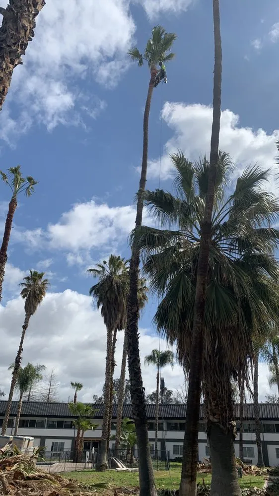 Professional landscape design in Bakersfield, CA by Lakes Gardening