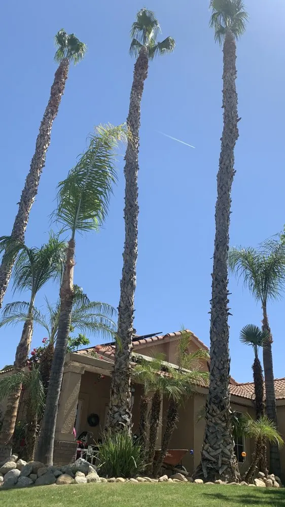 Professional yard maintenance for beautiful yards in Bakersfield, CA by Lakes Gardening