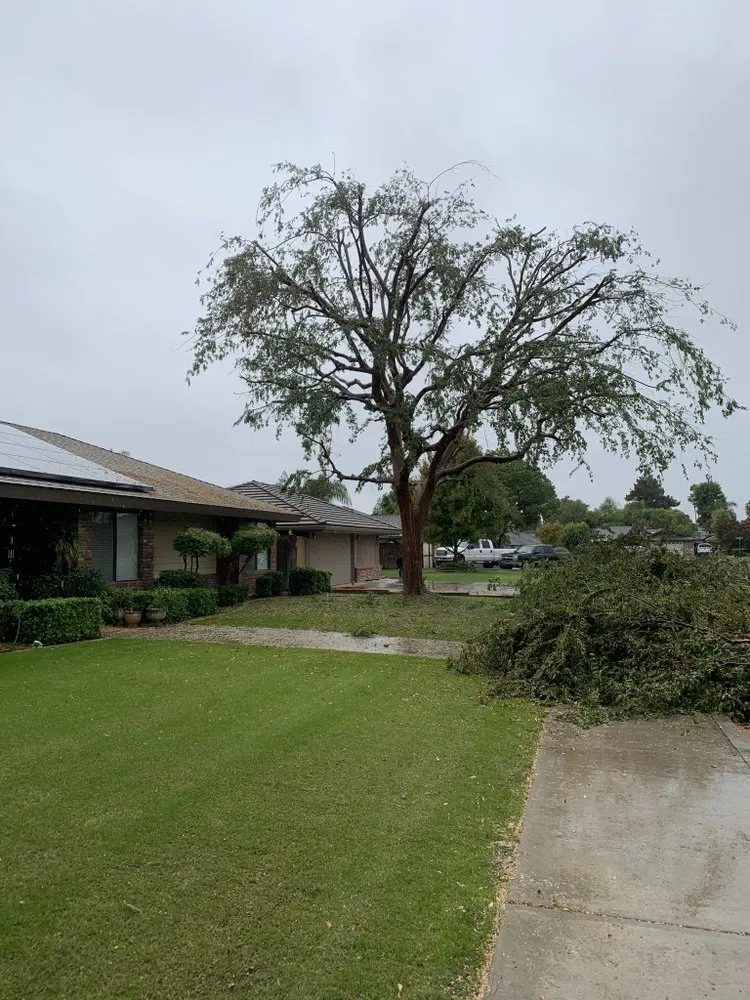 Expert lawn mowing service in Bakersfield, CA by Lakes Gardening