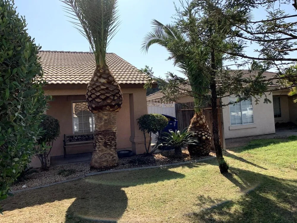 Top-rated outdoor landscaping near you in Bakersfield, CA by Lakes Gardening