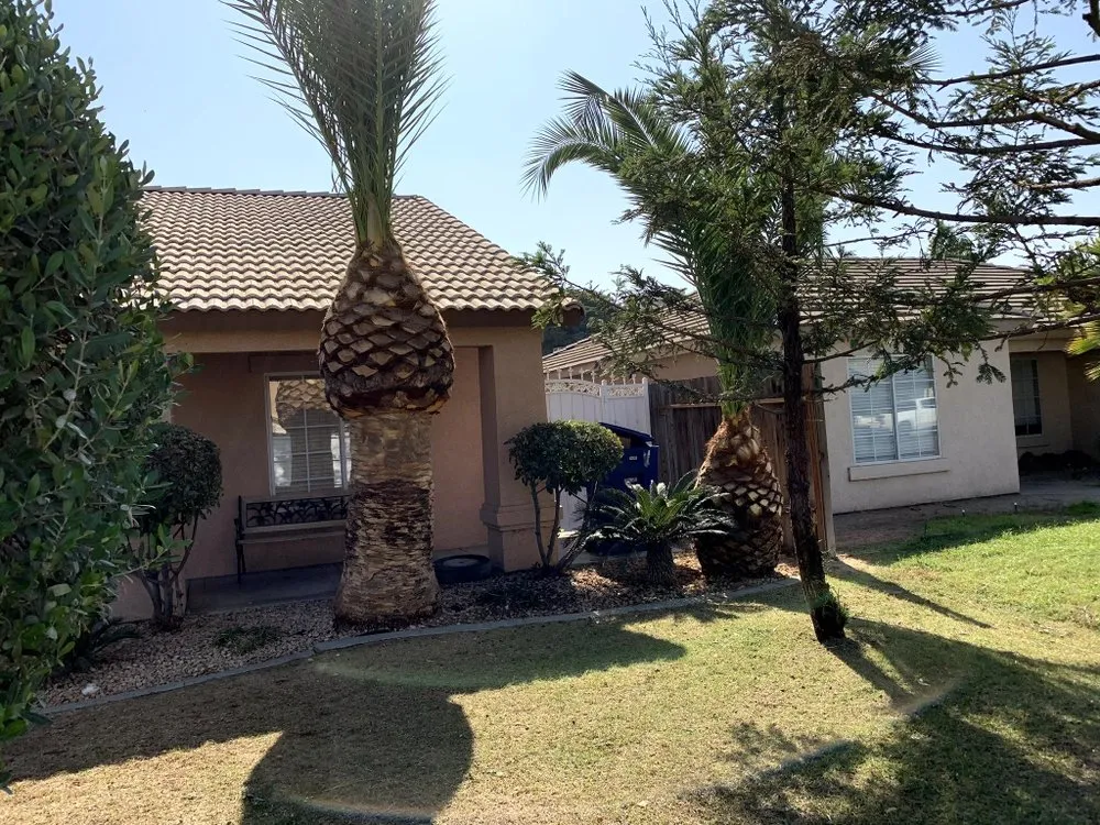 Custom outdoor landscaping for homes in Bakersfield, CA by Lakes Gardening