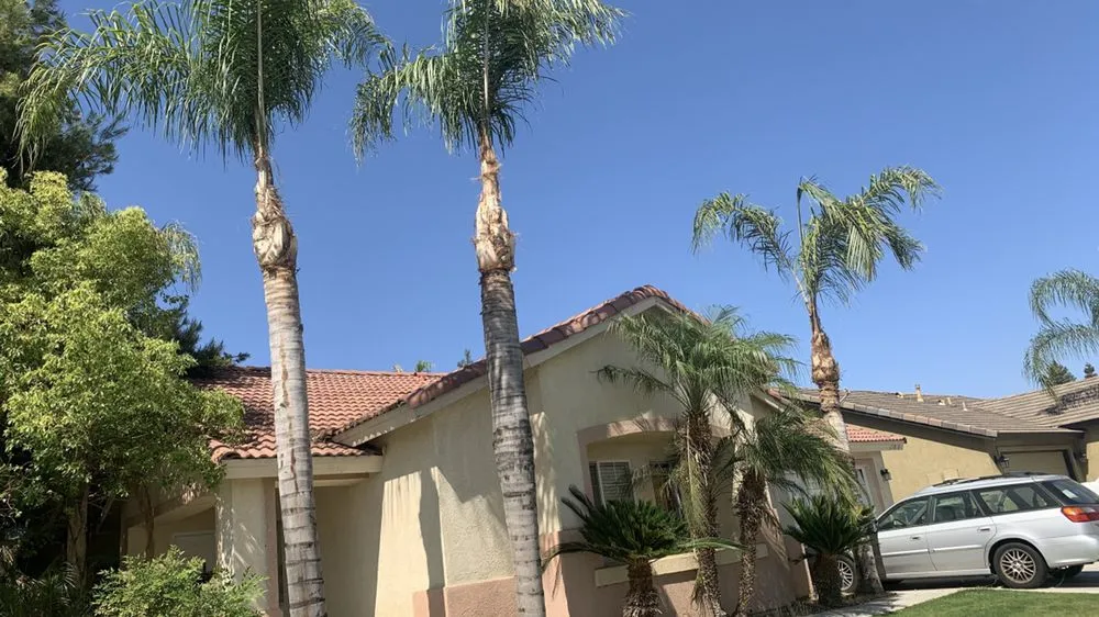 Trusted yard cleanup service experts serving Bakersfield, CA - Lakes Gardening