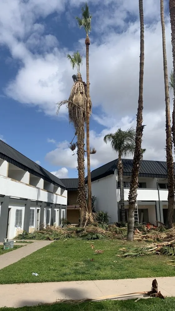 Affordable residential landscaping for year-round maintenance in Bakersfield, CA by Lakes Gardening