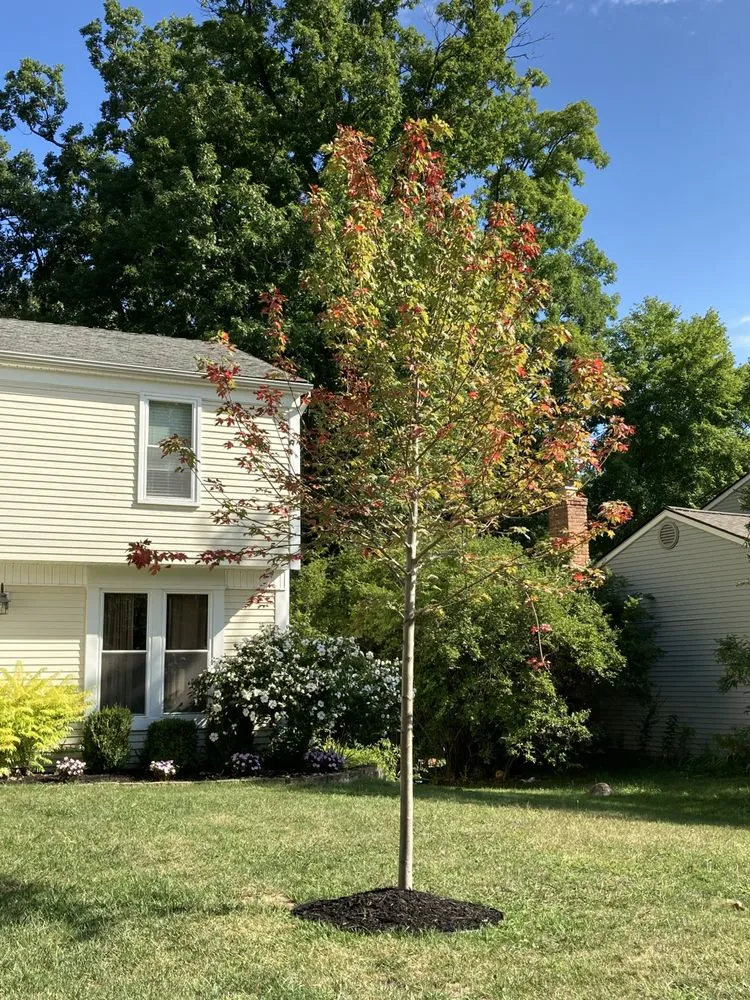 Affordable outdoor landscaping for residential properties in Waterford Township, MI by Lake's Lawn & Landscape