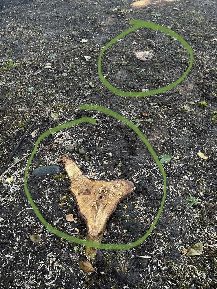 Expert landscape design experts serving Waterford Township, MI - Lake's Lawn & Landscape