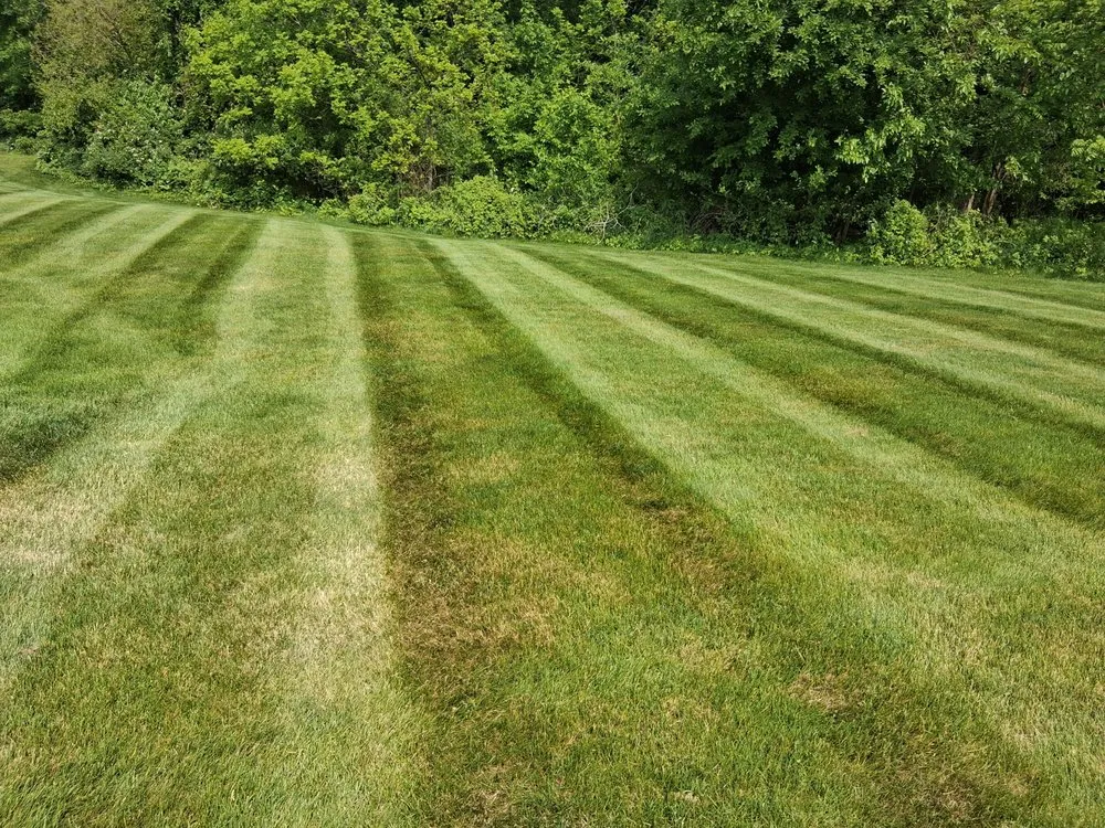 Reliable landscape installation near you in Coldwater, MI by Lakeshore Landscapes & Excavation