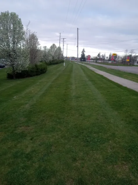 Reliable outdoor landscaping for homes across Coldwater, MI - Lakeshore Landscapes & Excavation