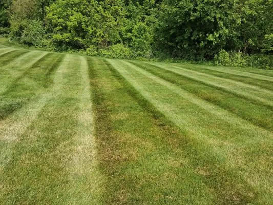 Lakeshore Landscapes & Excavation