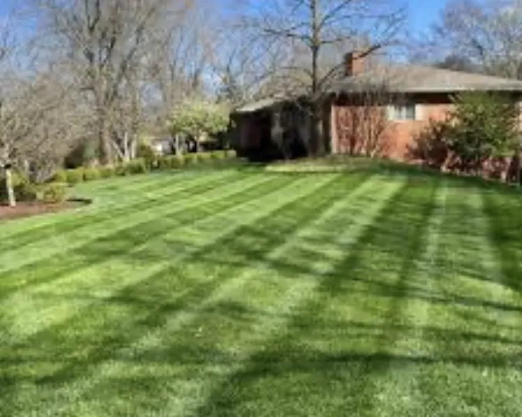 Affordable residential landscaping for year-round maintenance across South Bend, IN - Lakeshore Mowing