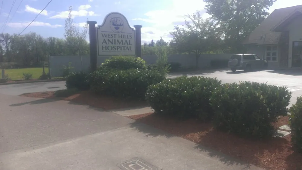 Professional yard cleanup service near you across Corvallis, OR - Lakeside Environmental Landscape Maintenance