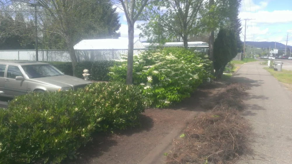 Reliable landscaping services with custom design in Corvallis, OR by Lakeside Environmental Landscape Maintenance