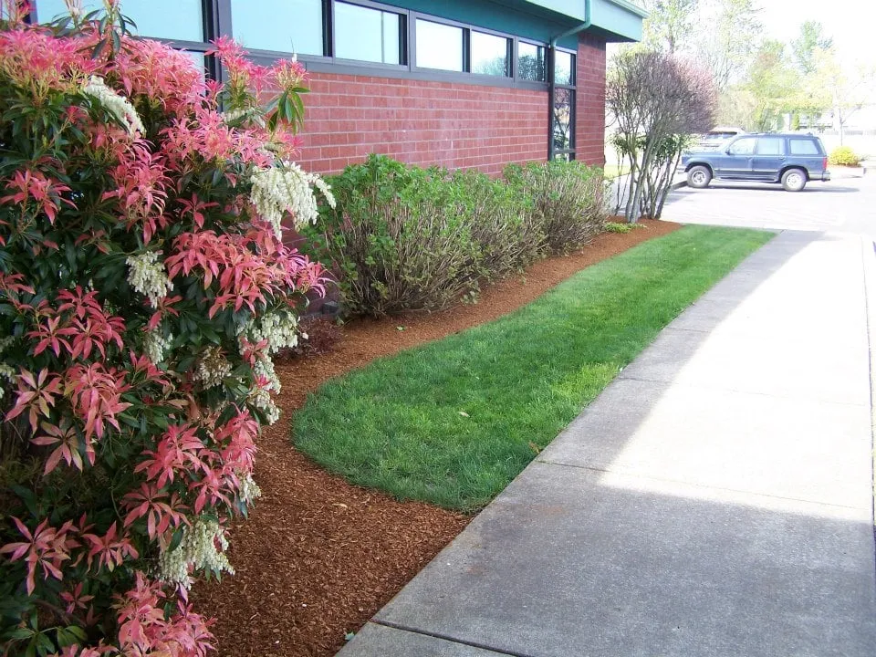 Top-rated lawn care service experts serving Corvallis, OR - Lakeside Environmental Landscape Maintenance