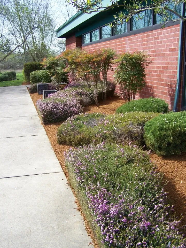 Local garden landscaping for homes in Corvallis, OR by Lakeside Environmental Landscape Maintenance