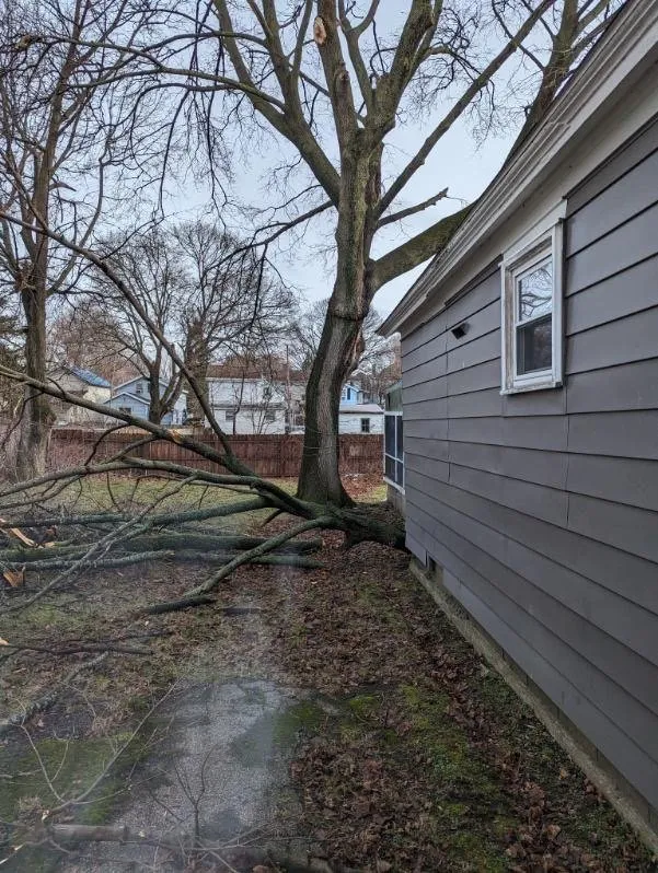 Local lawn care service experts serving Oswego, NY - Lakeside Landscapes