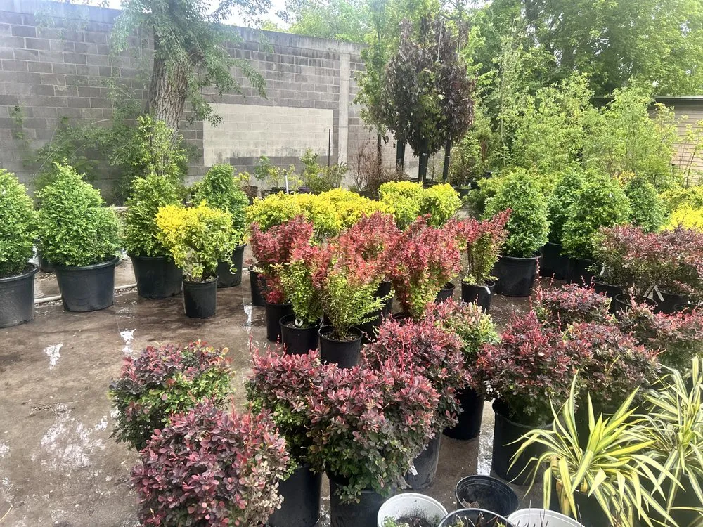 Trusted yard cleanup service for beautiful yards across West Valley City, UT - Lakeside Landscaping & Design