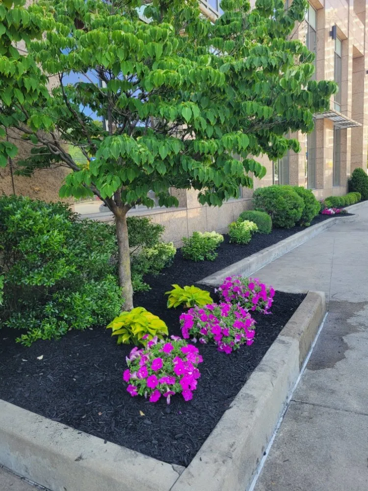 Professional landscape installation experts serving Rochester, NY - Lakeside Landscaping