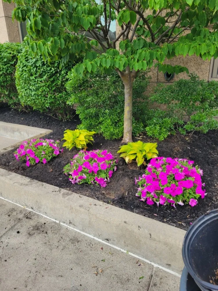 Expert yard maintenance in Rochester, NY - Lakeside Landscaping
