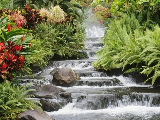 Lakeside Lawn & Landscaping