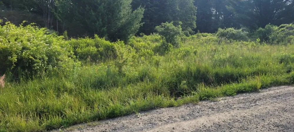 Reliable lawn mowing service experts serving New Milford, PA - Lakeside Lawn And Snow