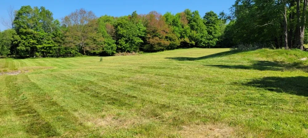 Expert yard maintenance experts serving New Milford, PA - Lakeside Lawn And Snow