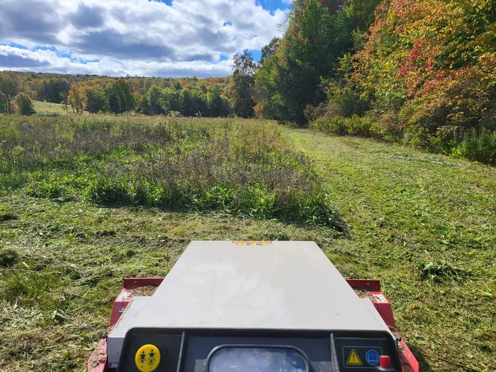 Top-rated residential landscaping experts serving New Milford, PA - Lakeside Lawn And Snow
