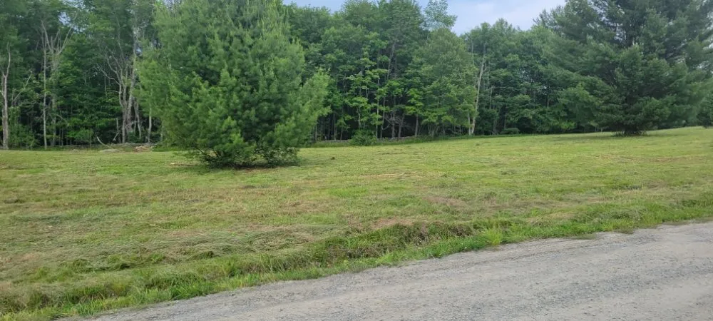Reliable lawn mowing service for outdoor upgrades across New Milford, PA - Lakeside Lawn And Snow