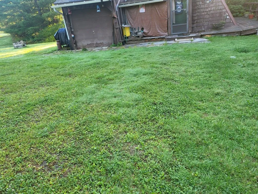 Trusted yard cleanup service in New Milford, PA by Lakeside Lawn And Snow