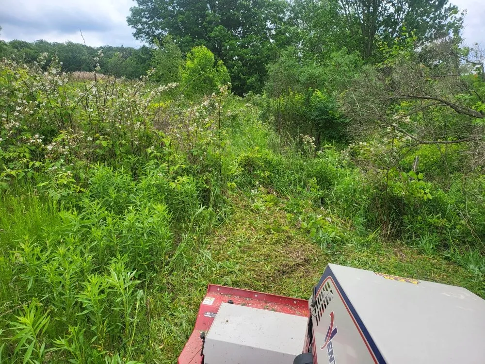 Professional yard cleanup service for year-round maintenance in New Milford, PA by Lakeside Lawn And Snow