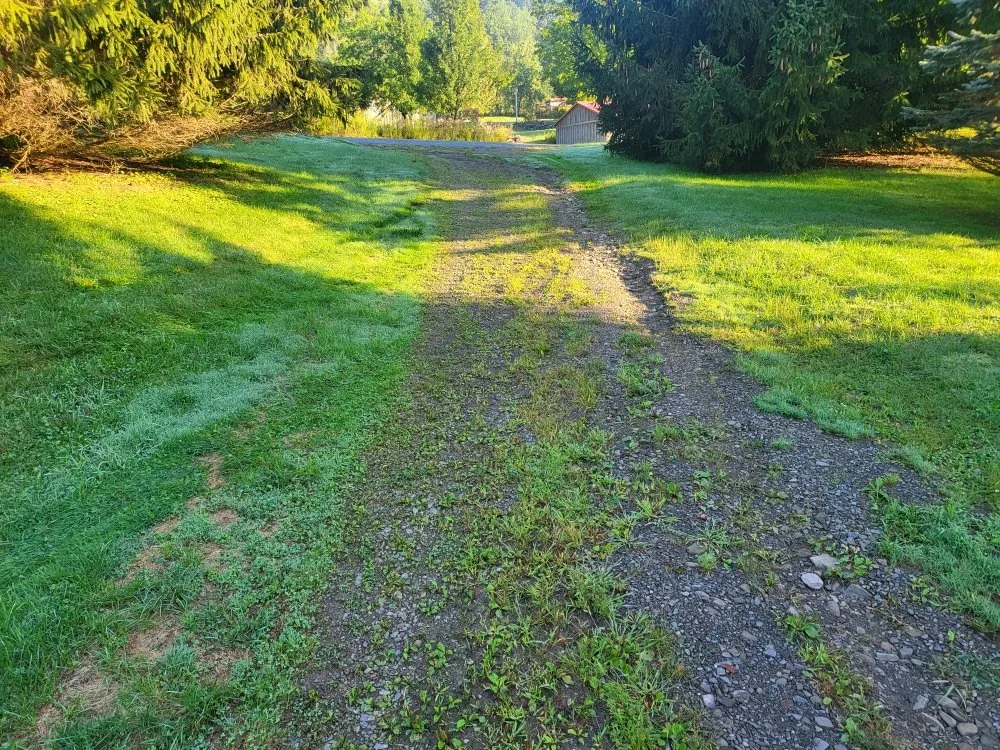 Affordable outdoor landscaping in New Milford, PA by Lakeside Lawn And Snow