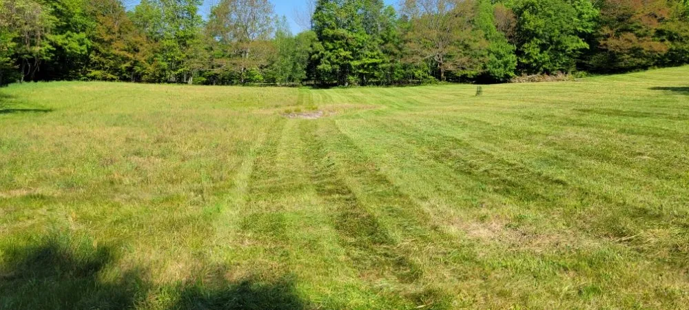 Trusted lawn care service in New Milford, PA - Lakeside Lawn And Snow
