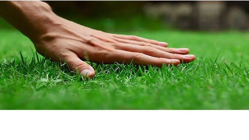 Custom landscaping services in Livingston, TX by Lakeside Lawn Care Landscaping