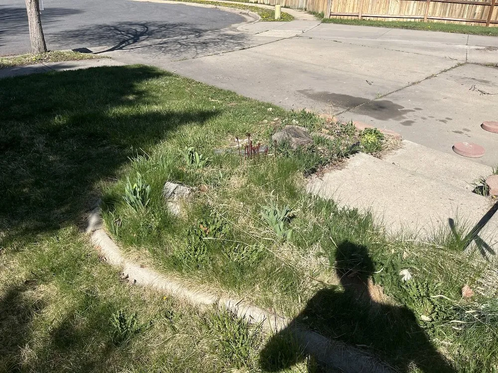 Affordable outdoor landscaping experts serving Layton, UT - Lakeside Lawn Care