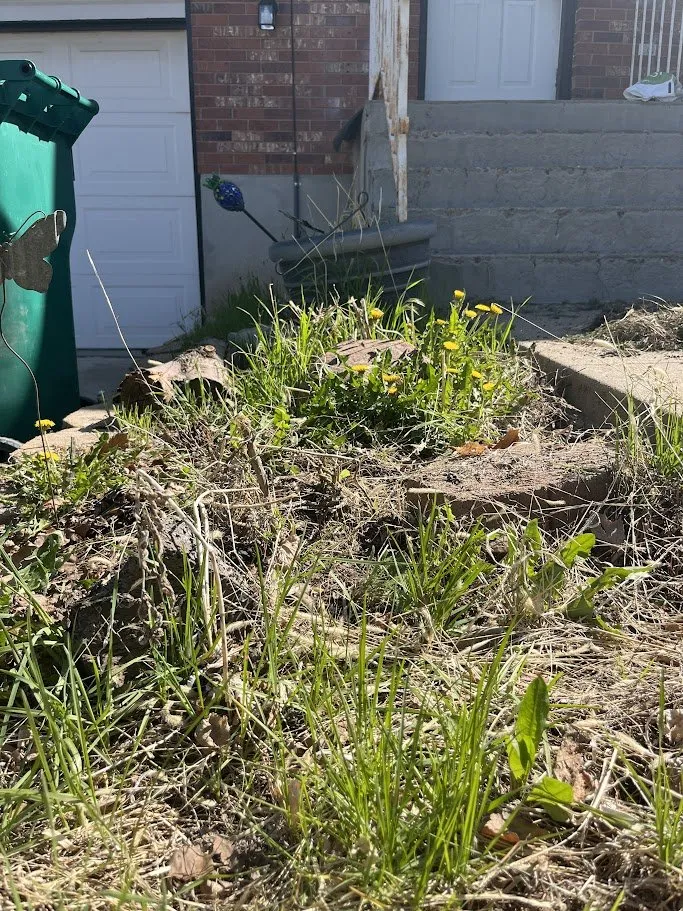 Custom landscaping services for year-round maintenance in Layton, UT by Lakeside Lawn Care