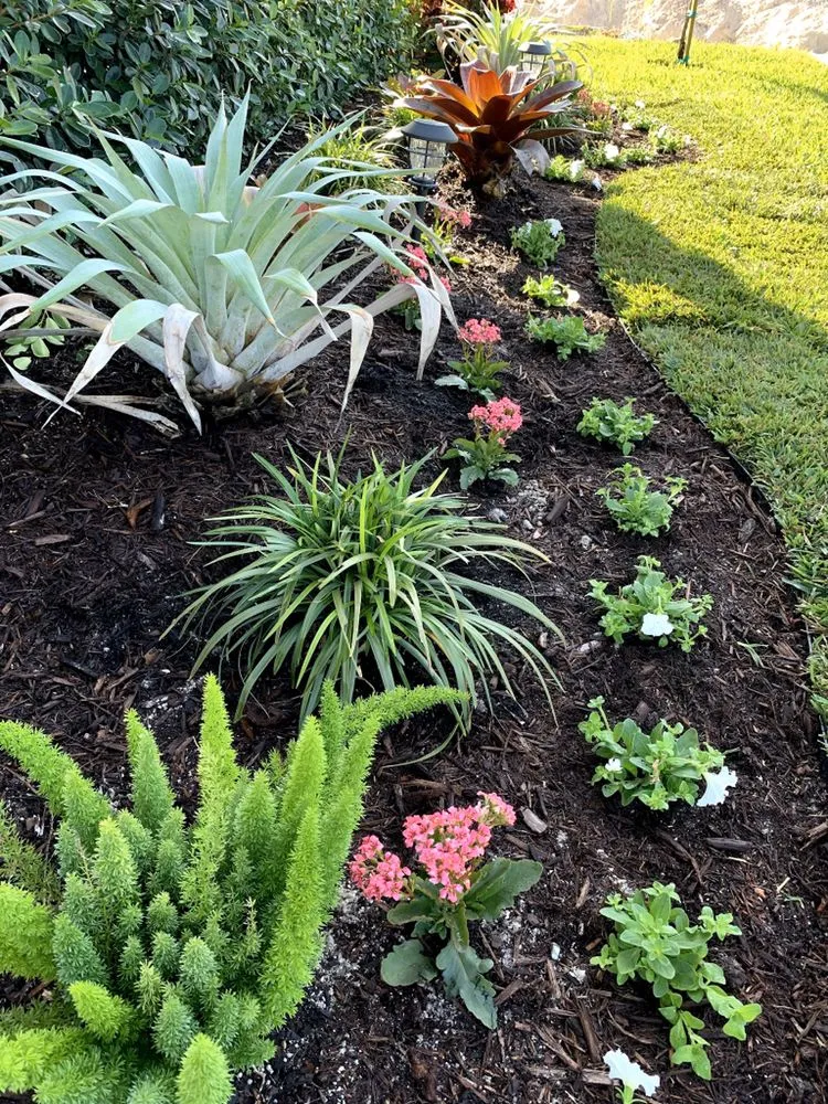 Trusted lawn care service experts serving Loxahatchee Groves, FL - Lakeside Lawn