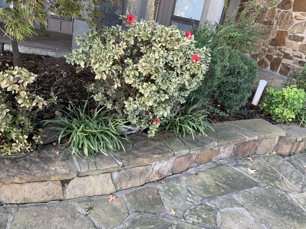 Reliable lawn mowing service for outdoor upgrades in Afton, OK by Lakeside Lawn Pros