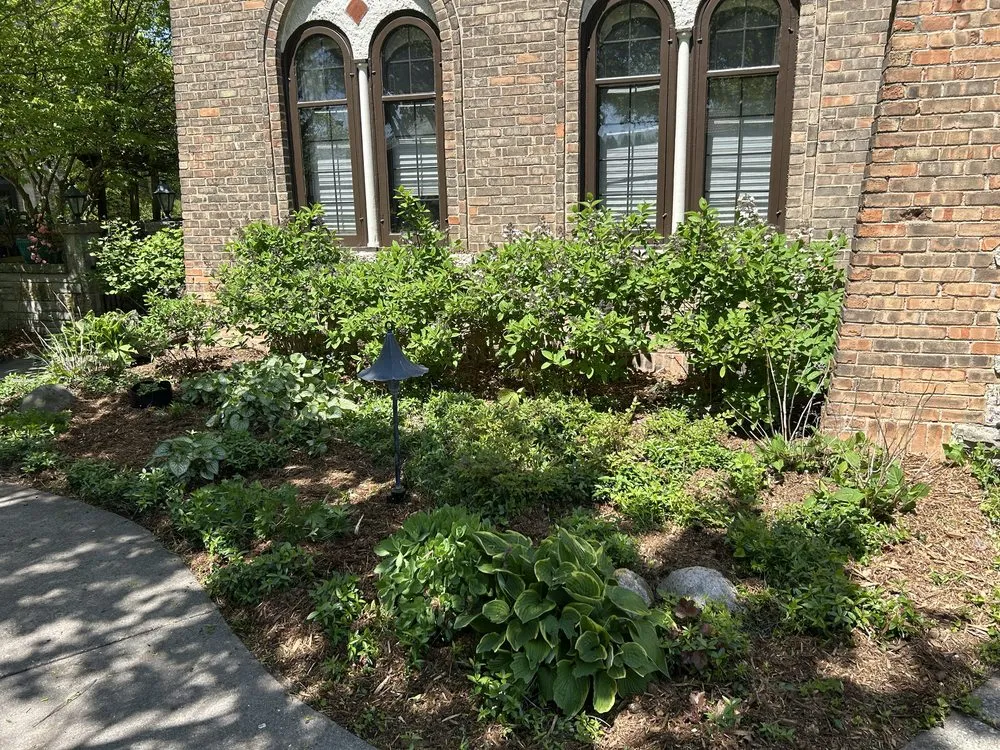 Local yard cleanup service for outdoor upgrades across Milwaukee, WI - Lakeside Lawn Services & Snow Removal