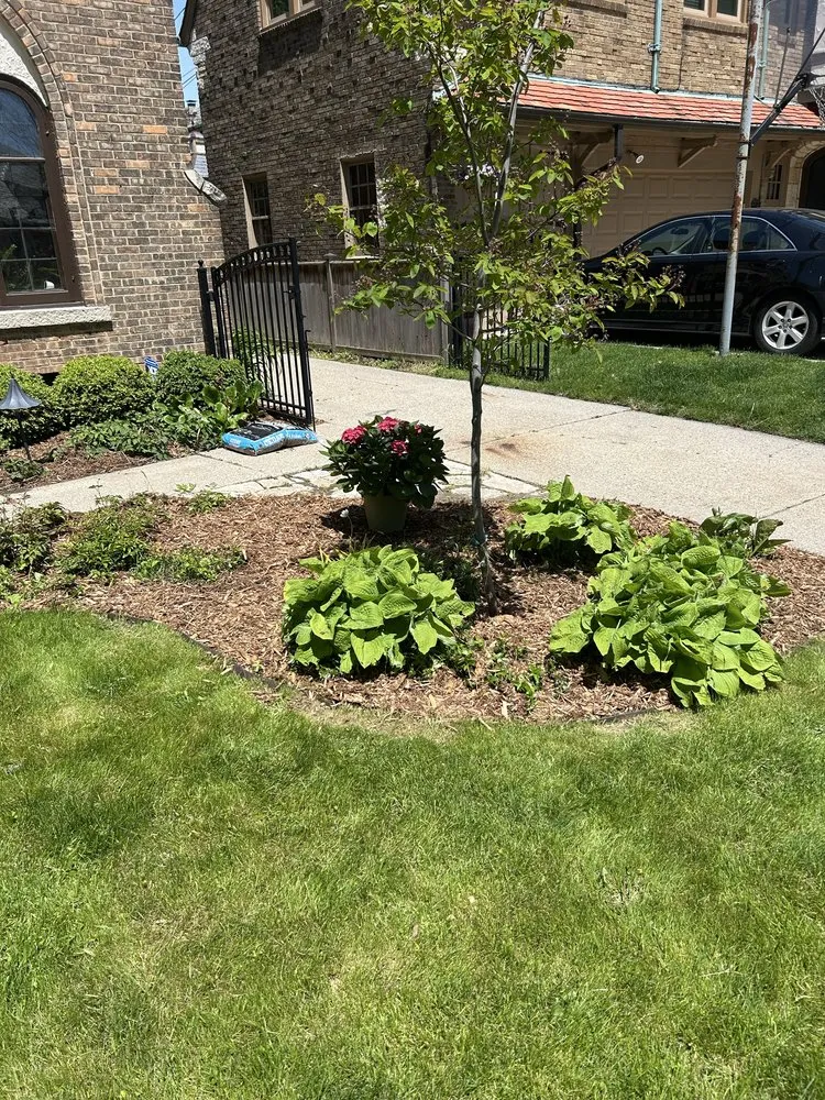 Reliable yard maintenance for beautiful yards in Milwaukee, WI by Lakeside Lawn Services & Snow Removal